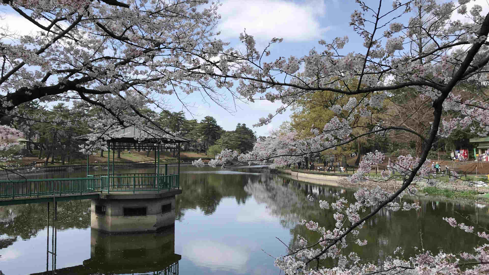 Omiya Park - Travel in Japan