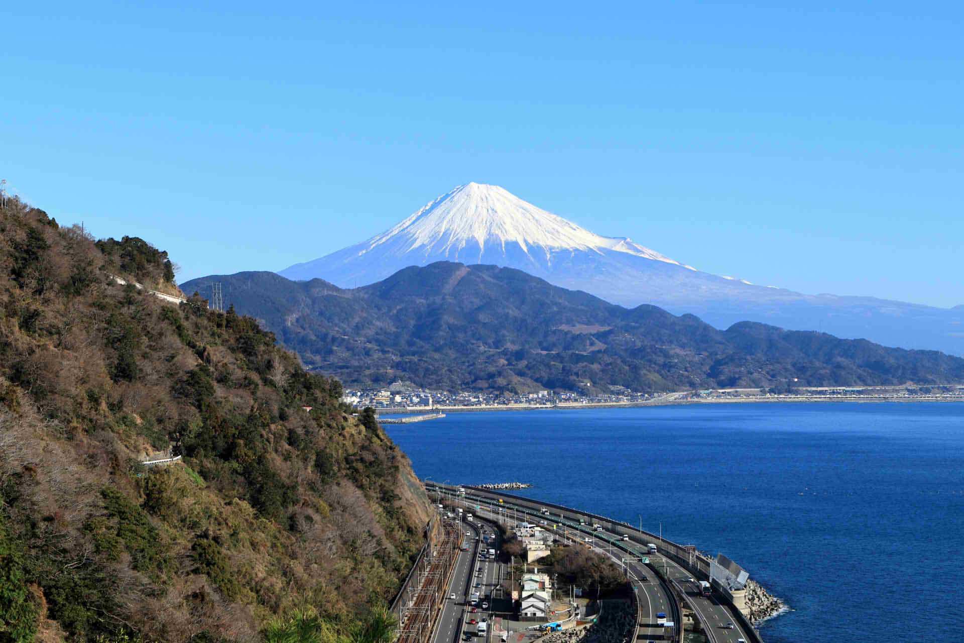 shizuoka japan news